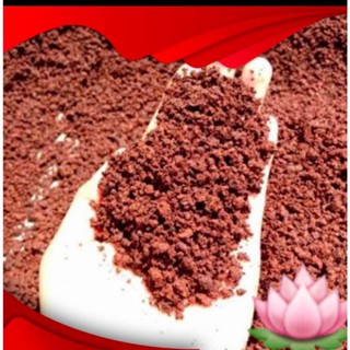 Red MALANG Sand 1 กก. ตู้ปลา พิพิธภัณฑ์สัตว์น้ํา ปลูก MEDIA เหมาะสําหรับ CHANNA ปลา และเชฟ