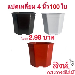 กระถางแคคตัส กระถางแปดเหลี่ยม 4 นิ้ว 100 ใบ