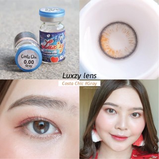 ไม่แถมตลับ Costa Chic Gray (มินิ) คอนแทคเลนส์ Luxzy