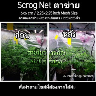 Scrog net ตาข่าย ตาข่ายปลูกพืช ตาข่ายปลูกต้นไม้ ตาข่ายกัญ ตาเล็ก 6 ซม./cm