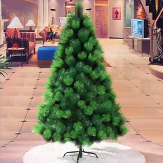 ต้นคริสต์มาสประดับตกแต่ง ขนสนฟู ขนาด 180 ซม. 6 ฟุต Christmas tree, Hinged Pine Needle 180 cm 6 ft  (Green)