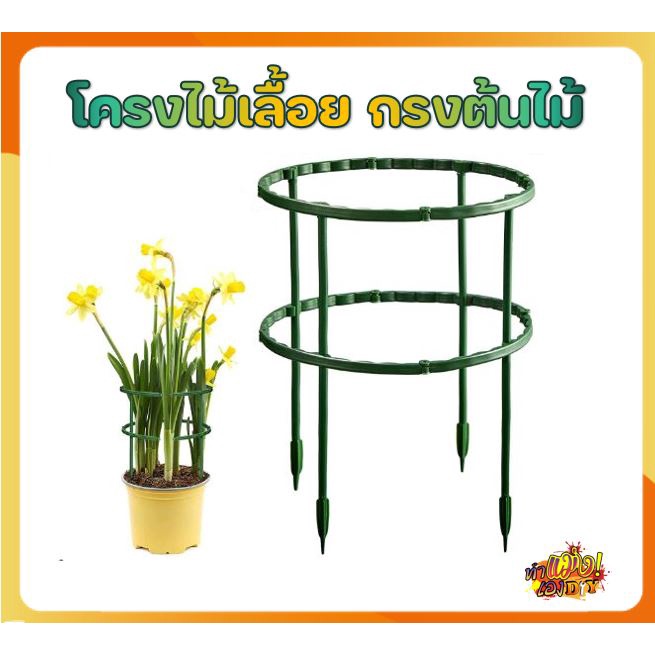 (พร้อมส่งจากไทย) โครงต้นไม้ สำหรับเป็นหลัก ประคองไม้เลื้อย ไม้ทรงพุ่ม