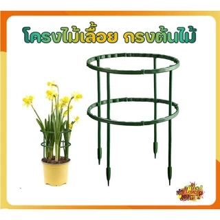(พร้อมส่งจากไทย) โครงต้นไม้ สำหรับเป็นหลัก ประคองไม้เลื้อย ไม้ทรงพุ่ม