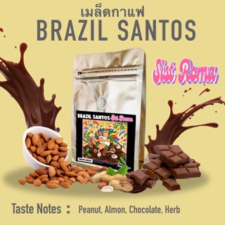 เม็ดกาแฟ Brazil Santos บราซิล ซานโตส