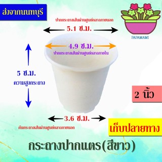 (20-10ใบ) papamami กระถางพลาสติก กระถางขาว ปากแตร 2นิ้ว กระดิ่ง กระถางปลูกต้นไม้กระถางต้นไม้ ที่ปลูกต้นไม้ กระถางแค็คตัส