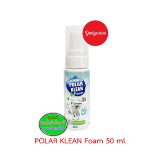 Polar clean foam 50ml  75857