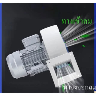 พัดลมโบเวอร์ พัดลมหอยโข่ง 220V วัสดุเหล็ก ขดลวดทองแดงแท้ High speed (สายไฟไม่มีหัวปลั๊กเสียบ)