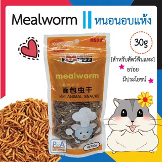 (พร้อมส่ง) Mealworm _หนอนอบแห้ง หนอนนก 30 กรัม / ล็อตใหม่.