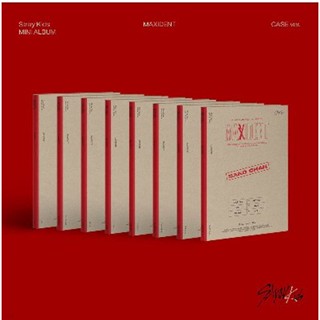 Stray Kids - MAXIDENT [CASE ver.]+with postcard 1