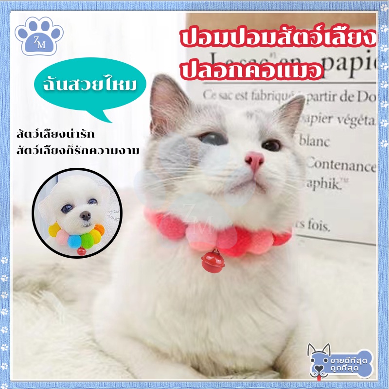 รูปภาพ 3