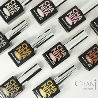 สีทาล็บเจล CY1-10 collection คอลเลคชั่น 10สีพร้อมชาร์ตสำเร็จรูป by Chanita brand