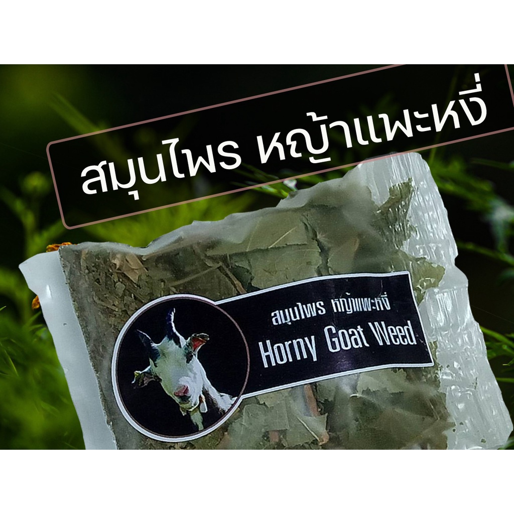 ใบแพะหงี่ สมุนไพรแพะหงี่แห้ง ใบแพะหงี่ สำหรับต้มน้ำดื่ม  (10กรัม)