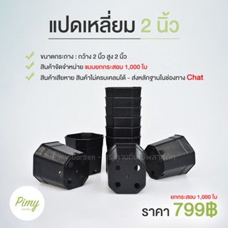 1000 ใบ กระถางแคคตัสราคาถูก ทรงแปดเหลี่ยม สีดำ 2 นิ้ว (โปรโมชั่น)