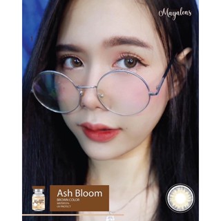 Mayalens คอนแทคเลนส์ สีน้ำตาลเเละสีเทา Ash Bloom หวานละมุน