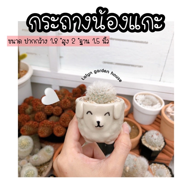 🤍🐑 กระถางขนแกะ ตัวน้อย (งานปั้น เพ้นท์มือนะคะ) ขนาด 1.8*2*1.5 นิ้วค่ะ น่าสะสมไว้ใสน้องขนแกะ 🤍🐑