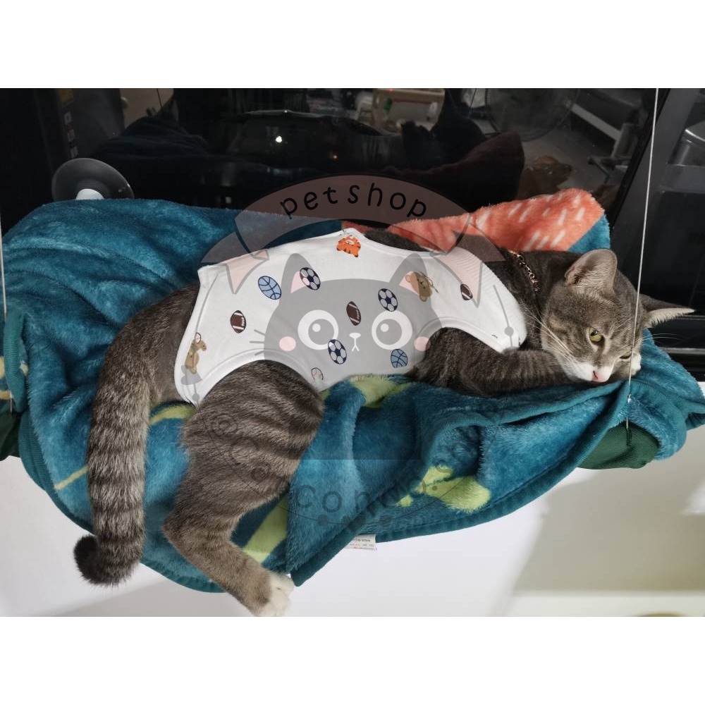 รูปภาพ 6