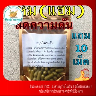 ฺBestHerbs แห้มแคปซูล ผงแท้ไม่ผสม 💊ลงใหม่รีวิวหาย 100แถม 10 500แถม20