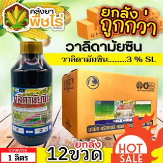 🌽 💥💥 สินค้ายกลัง 💥💥 วาลิดามัยซิน (วาลิดามัยซิน) 1ลิตร*12ขวด สารป้องกันโรคใบไหม้ในนาข้าว