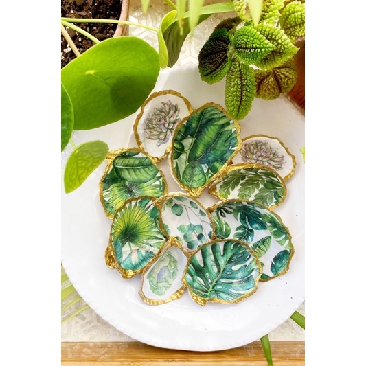 น้ำยาเคลือบกึ่งเงา วานิชกึ่งเงา ชนิดเข้มข้น Semi Hi GLoss Vanish ใช้เคลือบงานศิลปะ หัตถกรรม ภาพวาด ดินปั้นให้สวยทนนาน