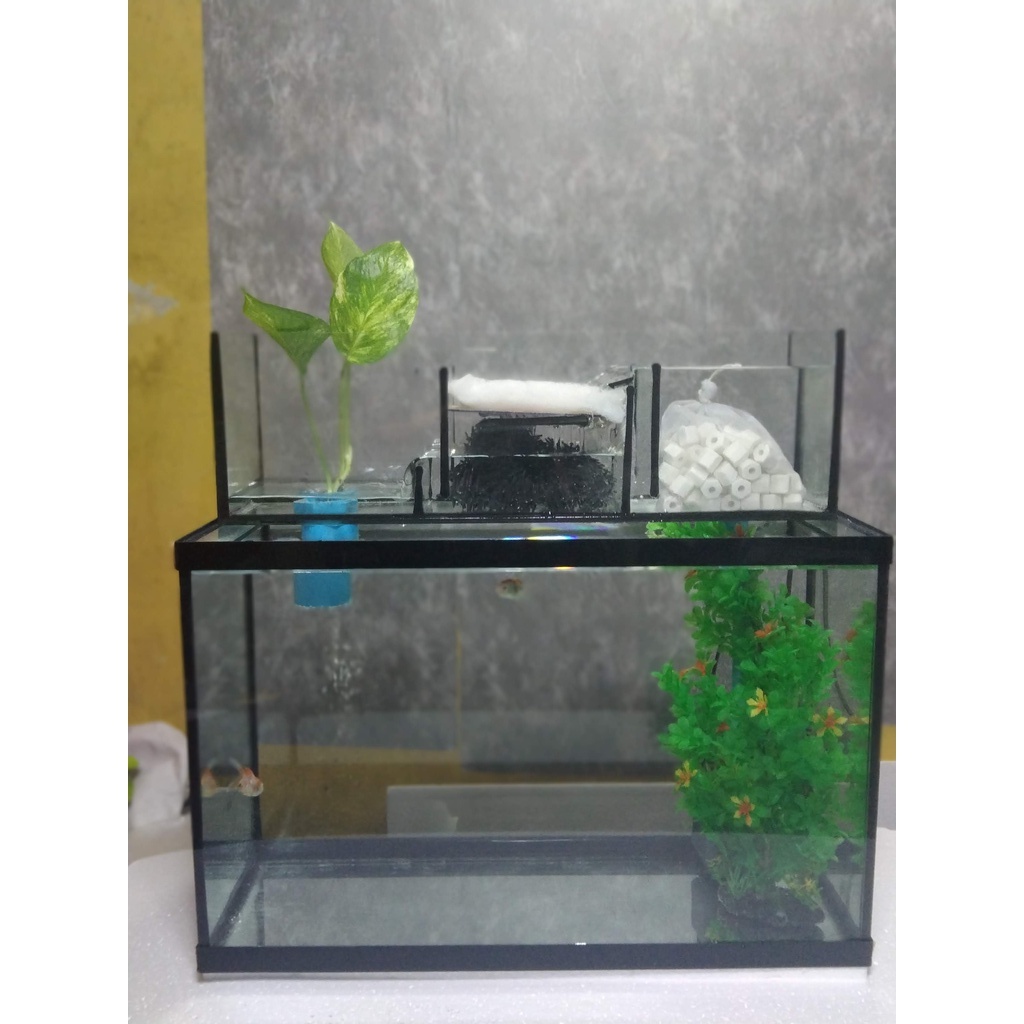 ตู้ปลา 24 นิ้วพร้อมกรองบน