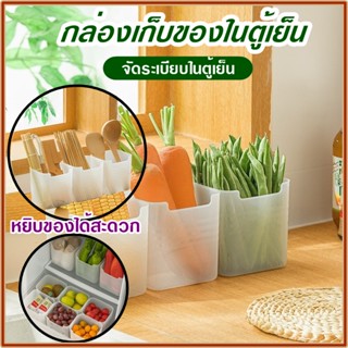 กล่องเก็บของในตู้เย็น จัดระเบียบในตู้เย็น ป้องกันกลิ่นไม่พึ่ประสงค์