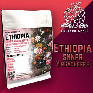 เมล็ดกาแฟ Ethiopia SNNPR Yirgacheffe Idedo Abedo Abebe Hilu G1