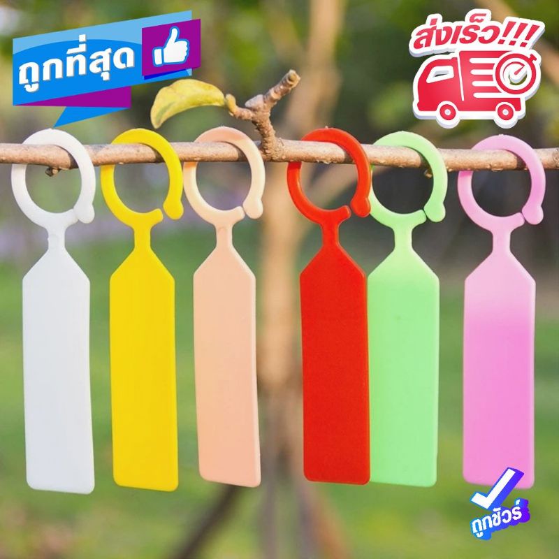 C2/0พร้อมส่งในไทย ป้ายชื่อต้นไม้ ป้ายแท็กพลาสติก แบบแขวน สำหรับตกแต่งสวน ถูกที่สุด