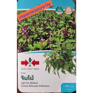 เมล็ดพันธุ์ โหระพา จัมโบ้🚩หมดอายุ04/04/2567🚩บรรจุประมาณ 1,000เมล็ด ตราศรแดง เมล็ดพันธุ์โหระพา เมล็ดพันธุ์ผัก เมล็ดผักสวน
