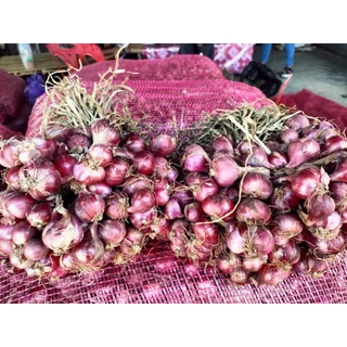 หอมแดงศรีสะเกษ ใหม่เงา 1 กิโลกรัม