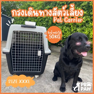 ✅ส่งฟรี✅ ส่งไว 🐶😸กล่องเดินทางสัตว์เลี้ยง กล่องใส่สัตว์เลี้ยง กล่องใส่หมา กล่องใส่สุนัข กรงเดินทางสัตว์เลี้ยง กรงเดินทาง