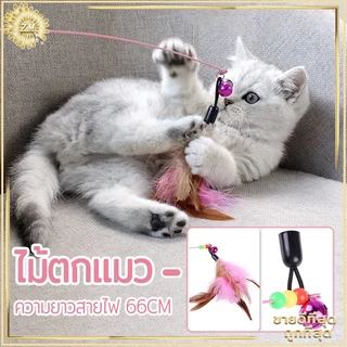 ไม้ล่อแมว ไม้ตกแมว ของเล่นแมว สายยาว 66 ซม. ไม้ตบแมว รุ่นปอมปอม มีกระดิ่ง/ ไม้แมว ขอเล่นแมว ไม้แมว ยาวสุด ไม้ตกแมวขนนก