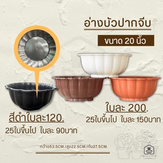 อ่างบัวปากจีบ 20นิ้ว