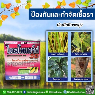 กำจัดเชื้อรา ไดเมโทมอร์ฟ 250 กรัม ป้องกัน โรคพืช ใบจุด ใบไหม้ ราน้ำค้าง ไฟทอปเธอร่า ราดำ คูลเกษตรKF54