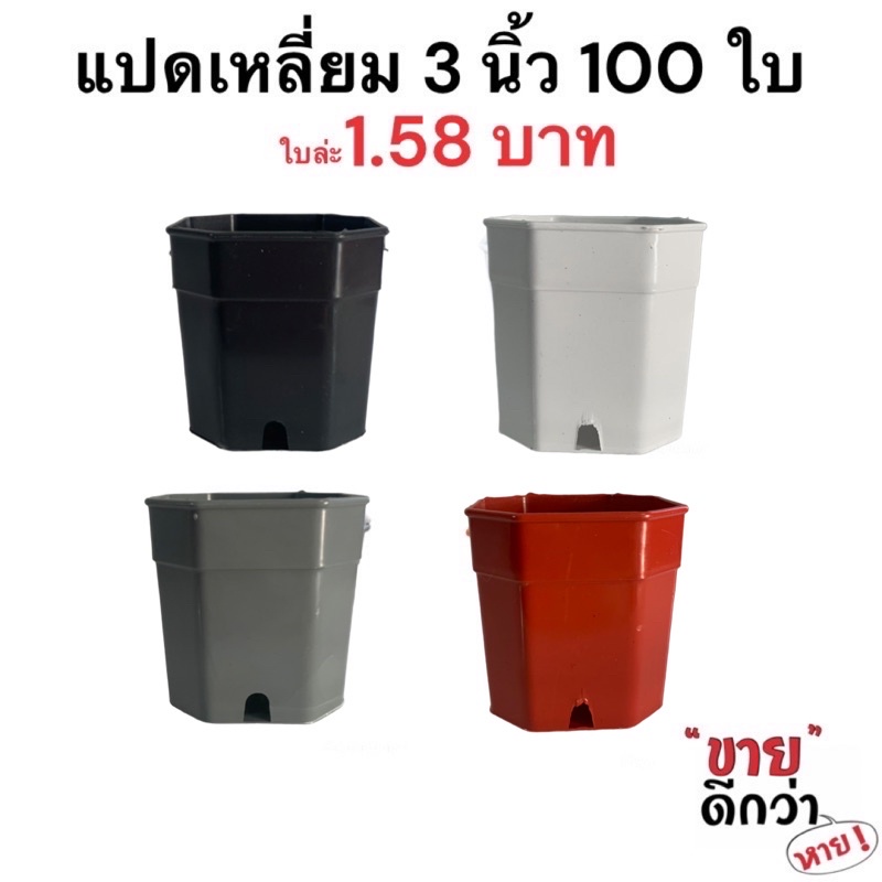 กระถางแคคตัส กระถางแปดเหลี่ยม 3 นิ้ว 100 ใบ สีดำ สีขาว สีอิฐ สีเทา