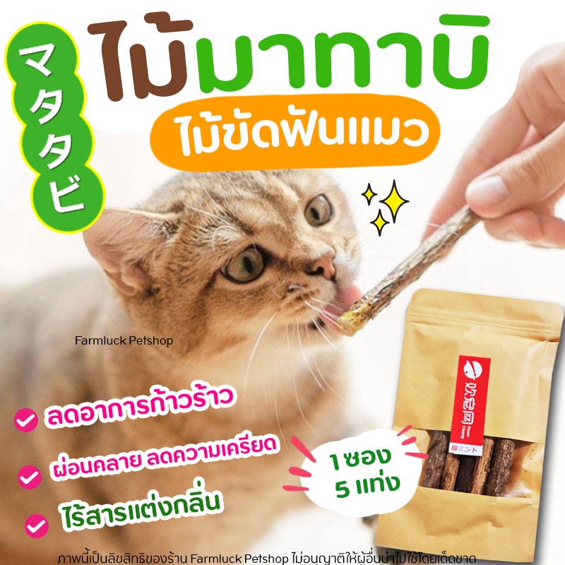 #ไม้มาทาทาบิ #แคทนิปญี่ปุ่น #ไม้ขัดฟันแมว #มาทาทาบิ #ของเล่นแมว