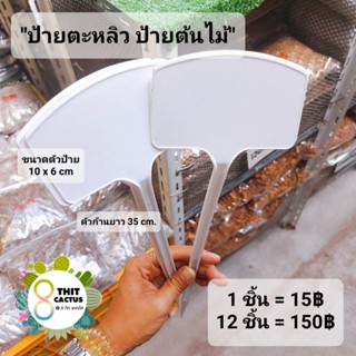 ป้ายตะหลิว ปักชื้อต้นไม้ ปักราคา / กด 12 ชิ้น 150฿