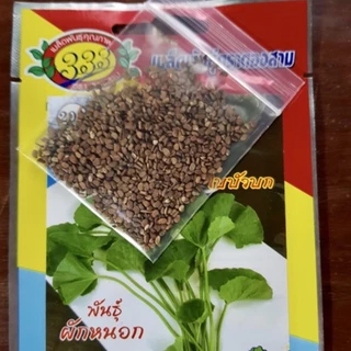 เมล็ดใบบัวบก 1 กรัม (ประมาณ 500 เมล็ด)