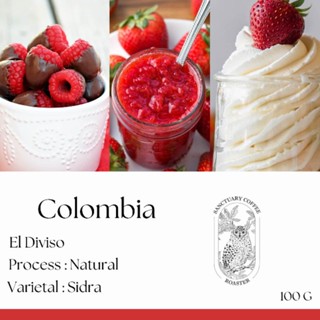 เมล็ดกาแฟ Colombia El Diviso Sidra