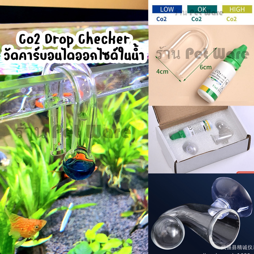 Co2 Checker ตู้ปลาไม้น้ำ เช็ค Co2 วัดคาร์บอนไดออกไซด์ในน้ำ