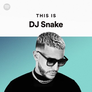 MP3 This Is DJ Snake * CD-MP3 , USB-MP3*