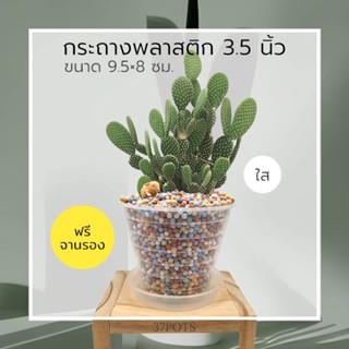 37POTS (ใส) ●ซื้อ 1 แถม 1● กระถางพลาสติก ขนาด 3.5 นิ้ว แถมฟรี จานรอง