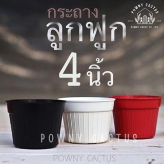 แหล่งขายและราคา❤ขั้นต่ำ 5 ใบ คละได้ทั้งร้านนะคะ❤กระถาง 4 นิ้ว กระถางลูกฟูก ทรงกลม ราคาถูกจ้าอาจถูกใจคุณ