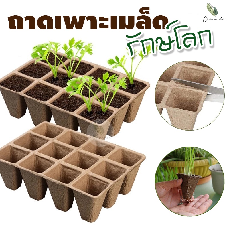[ติดตามลด 20%] ถาดเพาะเมล็ดรักษ์โลก ถาดเพาะกระดาษย่อยสลายได้ ตัดแบ่งได้ ขนาด 12 หลุม