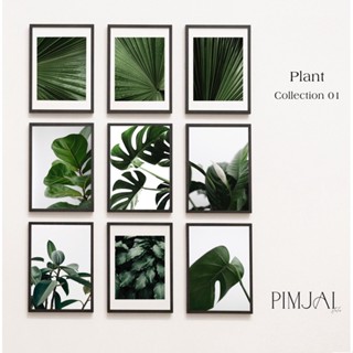 ภาพแต่งห้อง ภาพตกแต่งผนัง ภาพใบไม้ [plant collection 01]