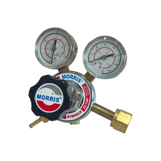 MORRIS เกจ์แก๊สไฮโดรเจน (13บาร์/185psi) 25A-13M-HY