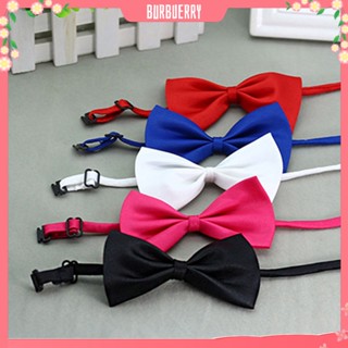 Sale เนคไทโบว์ไนล่อนสีพื้นสามารถปรับได้สําหรับสัตว์เลี้ยงสุนัขแมว
