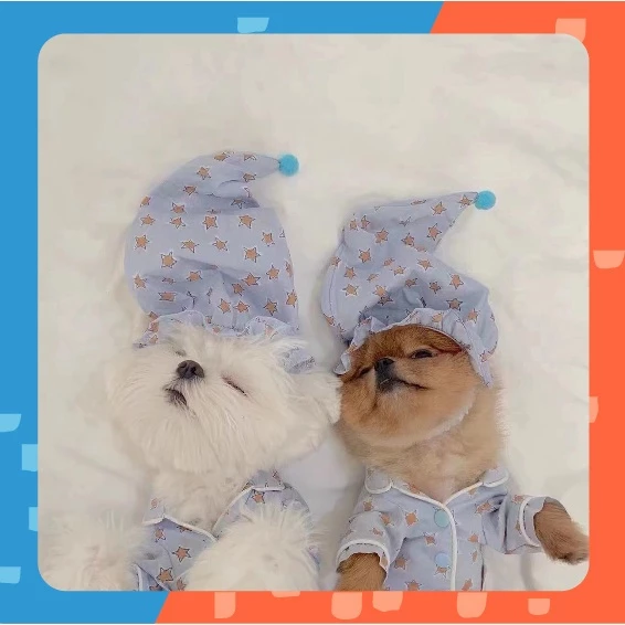 [🚚 พร้อมส่ง] ชุดนอนแมว หมา ลายรูปดาว Star Pet Pajamas ชุดหมา สุนัข เสื้อแมวน่ารัก