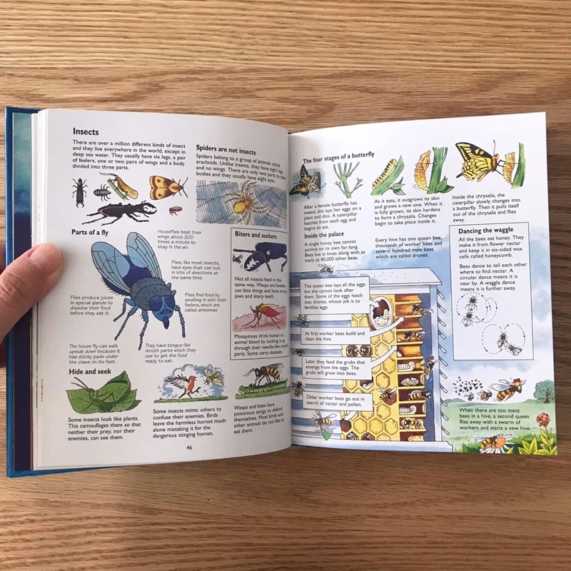⭐️พร้อมส่ง⭐️ หนังสือ Mini Usborne Children’s Encyclopedia ราคา ถูกที่สุด ดีลบีเคเค แกลเลอรีภาพที่ 5