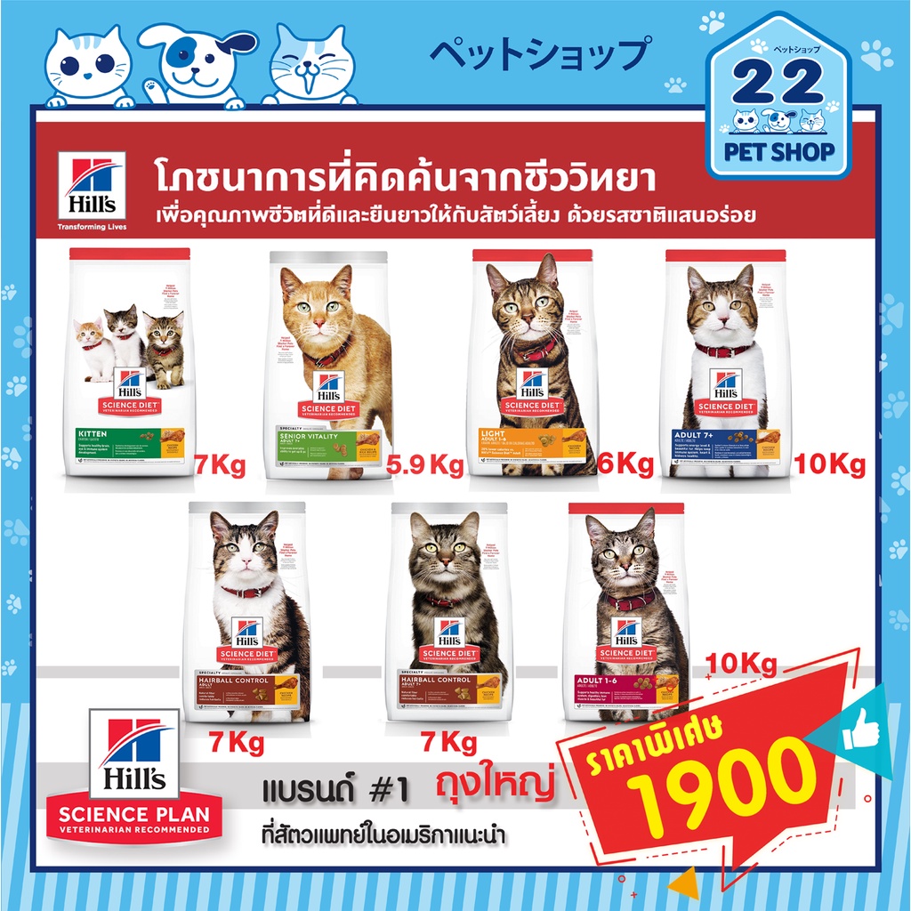 Hills Science Diet (Cat) ฮิลล์ อาหารลูกแมว แมวโต Adult 1-6 ปี แมวแก่ ...