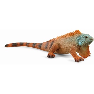 Schleich ฟิกเกอร์ Iguana Wild Life พลาสติก สําหรับเด็กอายุ 3 ปีขึ้นไป 14854